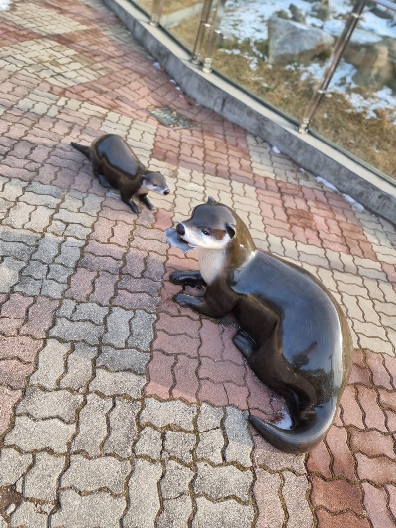 청주 겨울 여행 코스 추천: 동물원부터 정북동토성까지 당일치기 여행 완벽 정리