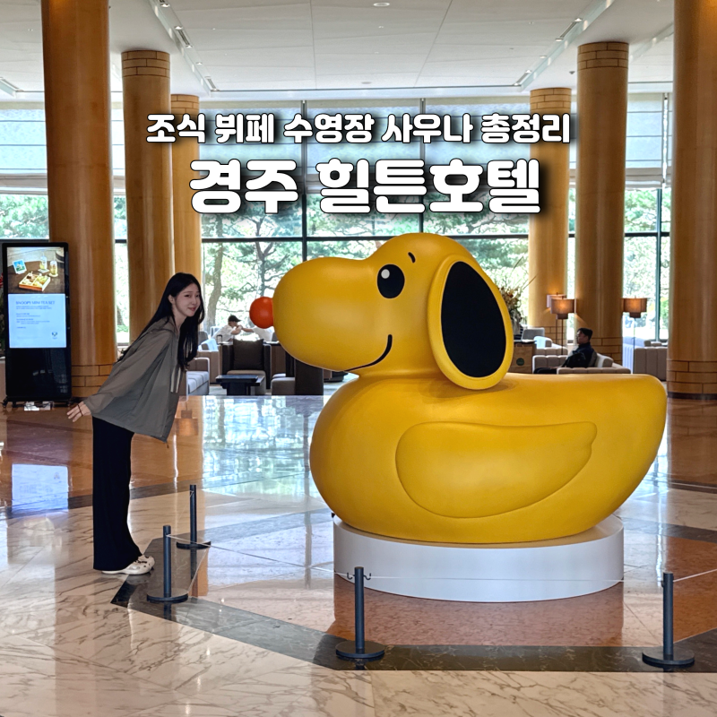 경주 힐튼 호텔 조식 뷔페 수영장 사우나 총정리