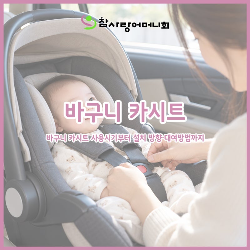 바구니 카시트 사용시기부터 설치 방향·대여방법까지