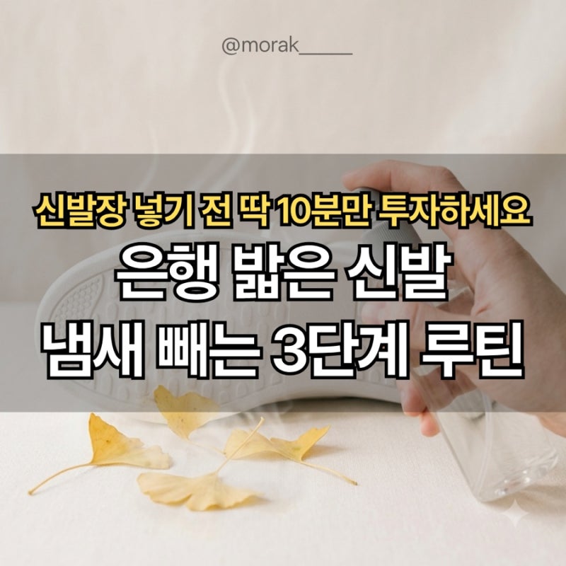 은행 밟은 신발 세척법 “물티슈로 닦고 두면 대참사”