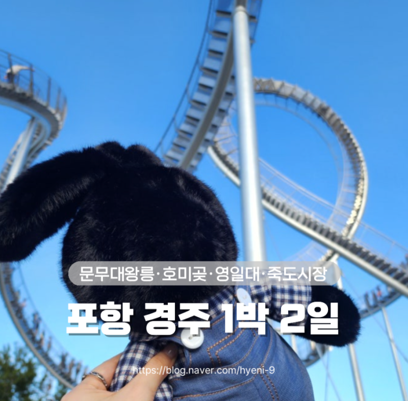 포항 경주 1박2일 여행코스 호미곶·영일대·죽도시장 대게