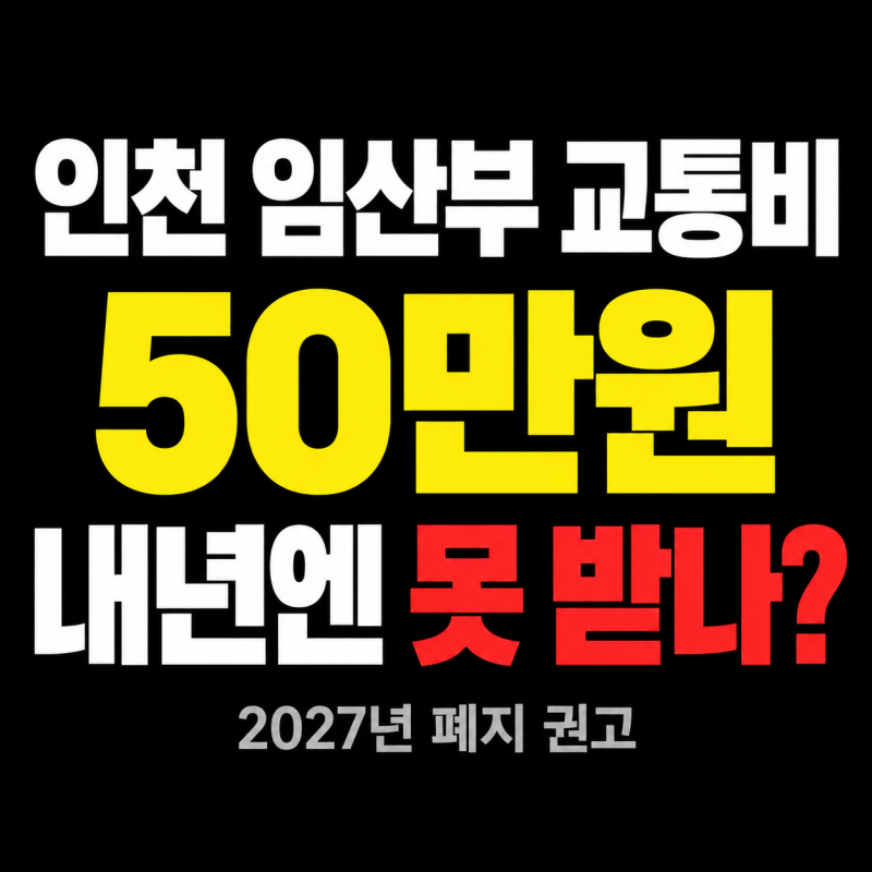 인천 임산부 교통비 50만원, 내년엔 못 받나? 폐지 권고 핵심 정리