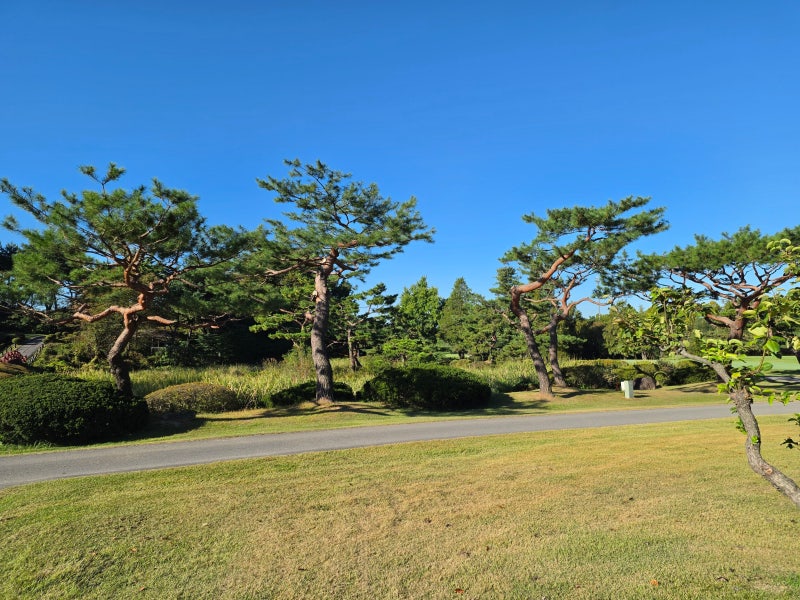 전세에서 월세 전환 시 5% 상한과 전월세전환율 계산법 (렌트홈 실무 완벽 정리)