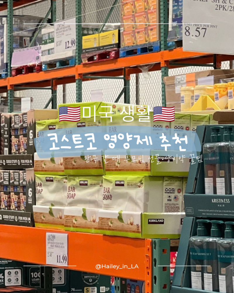 미국 코스트코 한국 갈 때 사가는 영양제 추천 | 부모님 선물·상비약 꿀템