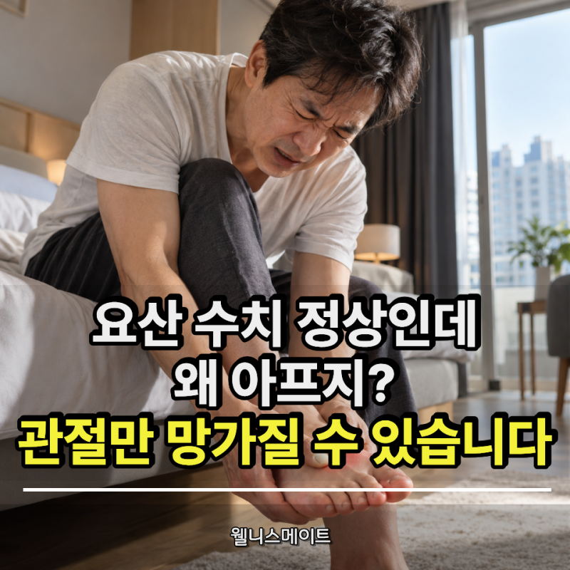 요산 수치 정상인데 엄지발가락이 쑤신다? 통풍 초기증상인데 통풍약만 사 먹다가 관절 다 ....