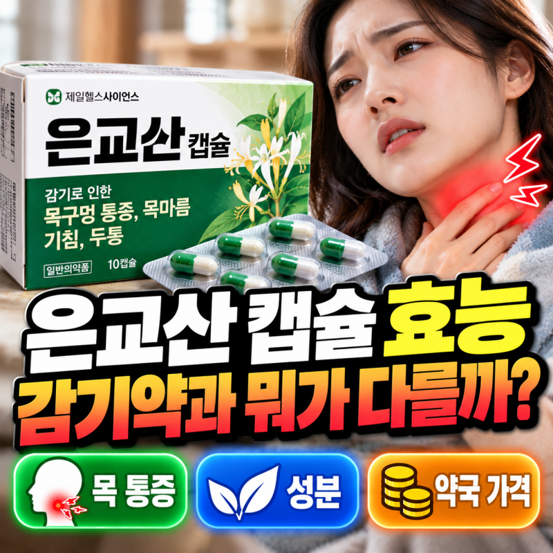 은교산 캡슐 효능 감기약과 뭐가 다를까? 약국 가격부터 성분까지 한 번에