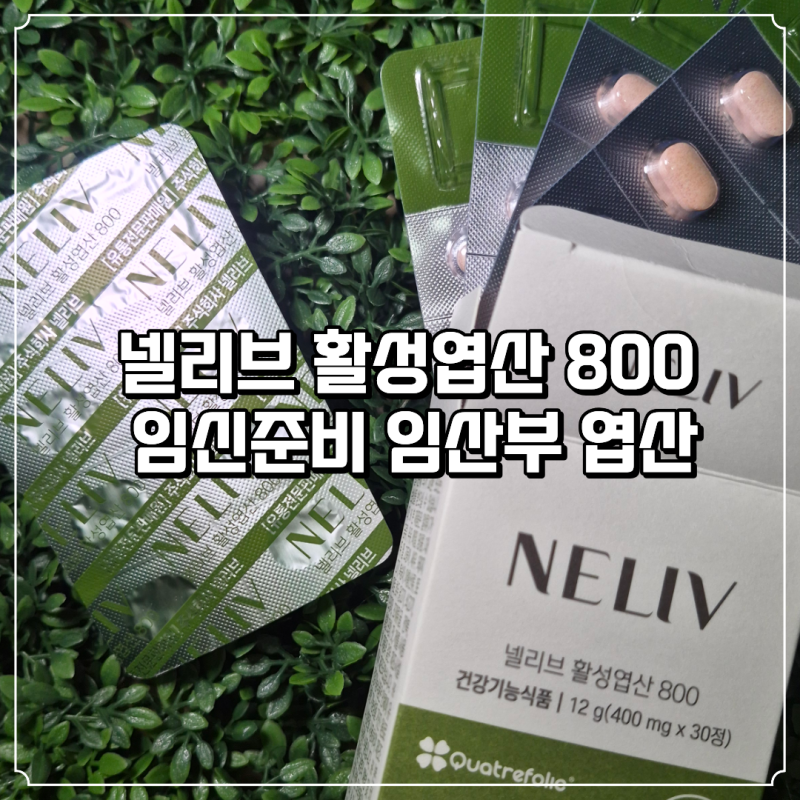 임신 준비 영양제 넬리브 활성엽산 800 꼼꼼하게 알아보기