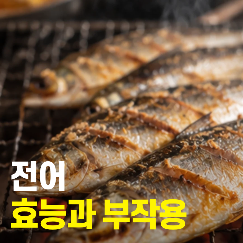 제철 전어 효능, 칼로리·오메가3와 먹는법 정리