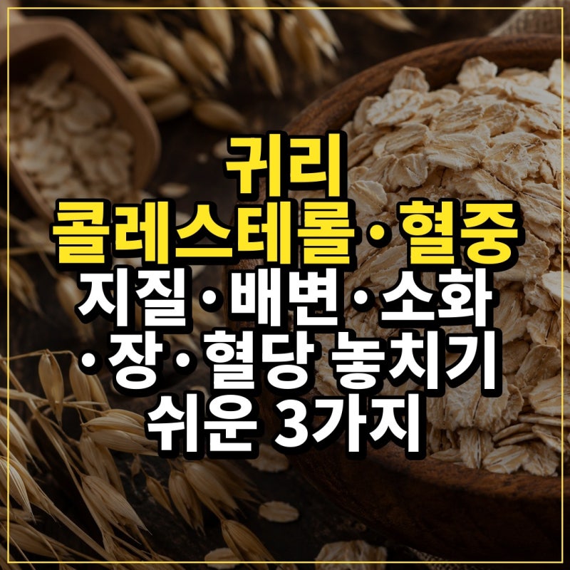 귀리 콜레스테롤·혈중 지질·배변·소화·장·혈당 놓치기 쉬운 3가지