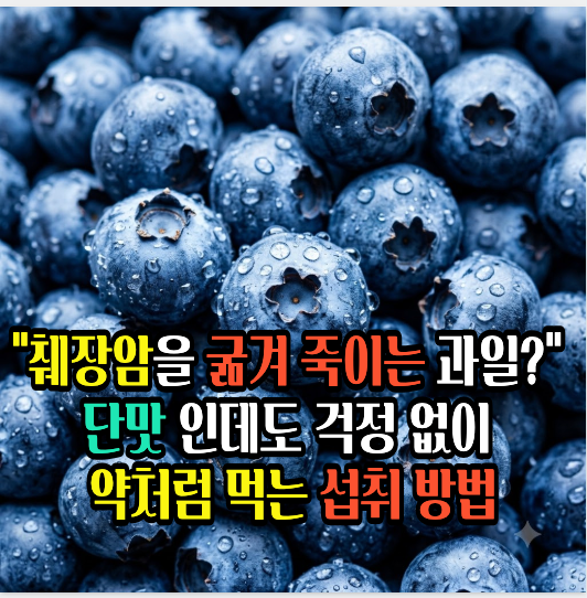 "췌장암 굶겨 죽인다?" 의사가 60대 이후 약처럼 먹으라는 과일 "췌장암을 굶겨 죽이는 과일?" ....