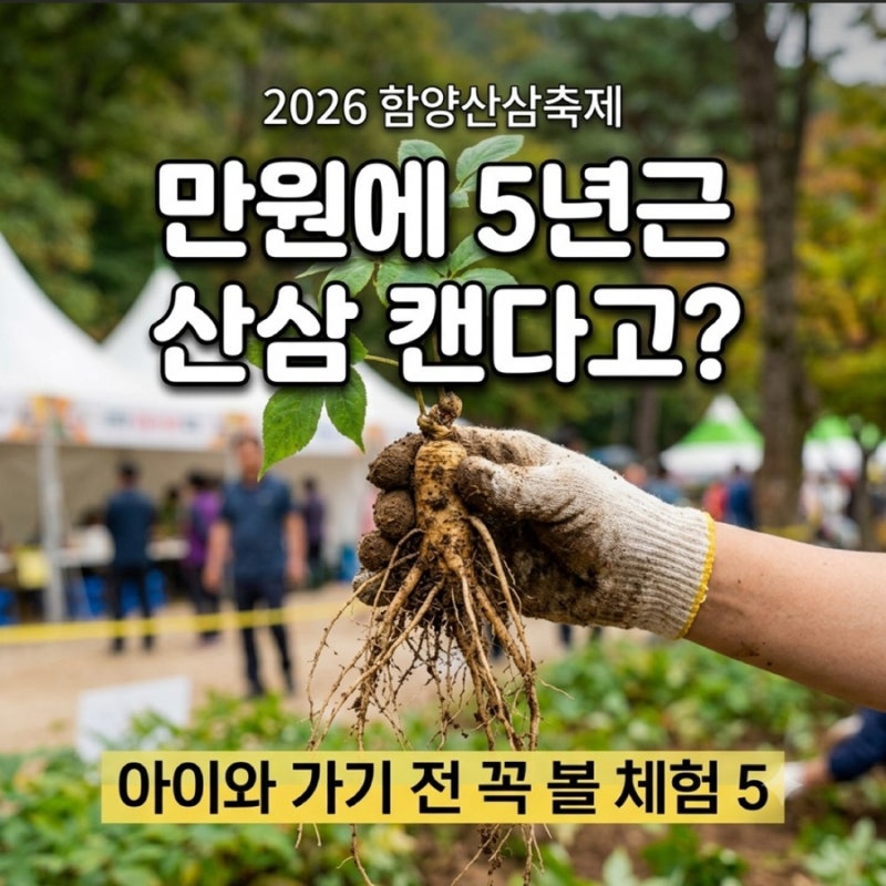2026 함양 산삼축제 오늘 개막! 산삼캐기 1만원·초대가수·황금산삼 아이와 가족 체험 총정리