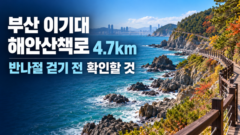 부산 이기대 해안산책로 4.7km, 반나절 걷기 전 확인할 것