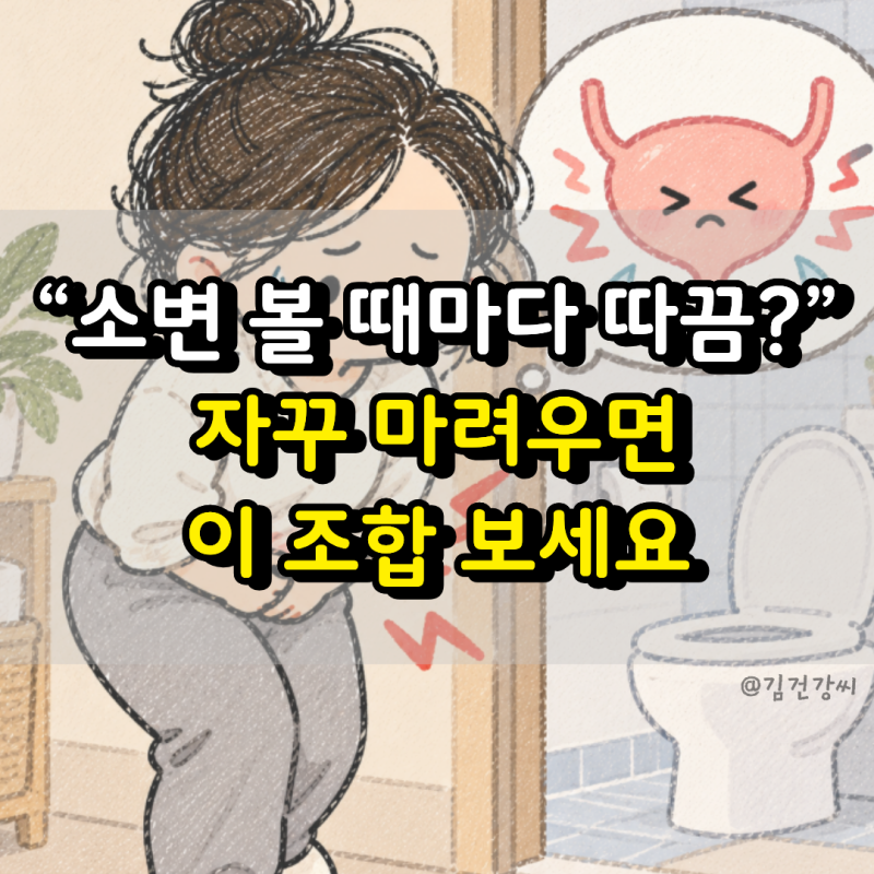 “방금 소변 봤는데 또 마렵다?” 따끔거리기까지 하면 놓치기 쉬운 방광염 증상 TOP3
