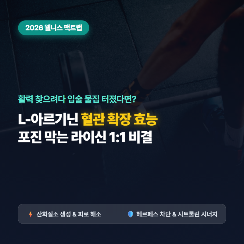 "활력 찾으려 아르기닌 먹었다가 입술 포진 터졌다면?" 2026 L-아르기닌 혈관 확장 효능과 헤르....