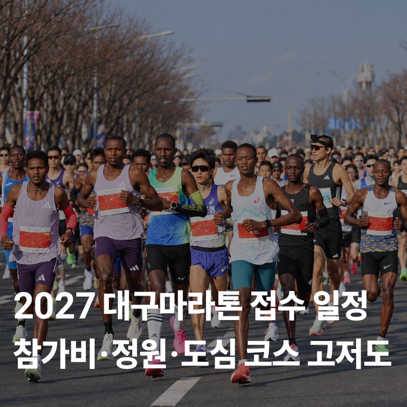 2027 대구마라톤 접수 일정 총정리｜참가비·정원·도심 코스 고저도까지