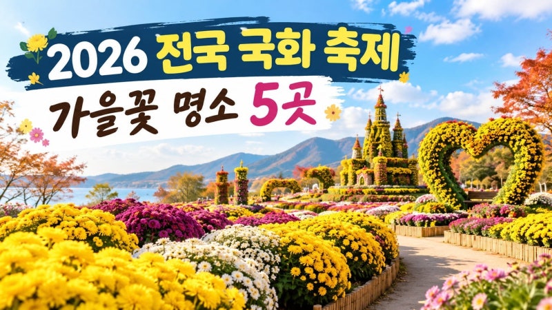 2026년 10월 11월 국화축제 총정리｜연천 함평 익산 양산 서산 가을꽃 명소 5곳