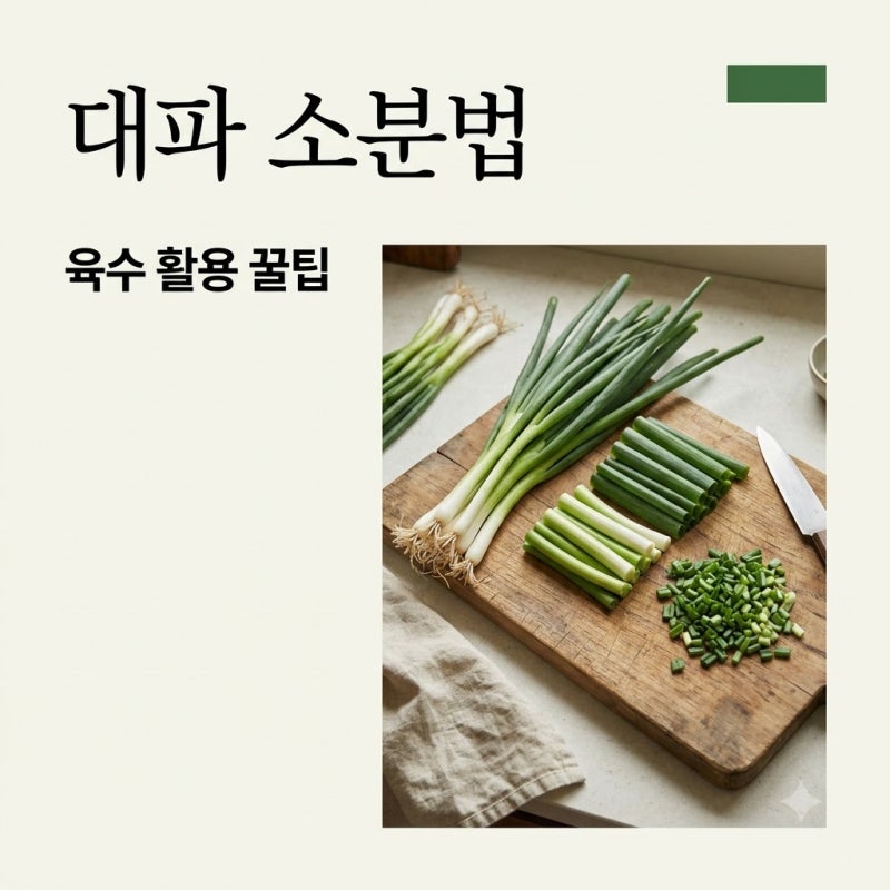 대파 한 단 사서 반 넘게 버렸다면? 갓벽한 소분 보관법과 시원한 대파 육수 요리 활용법..
