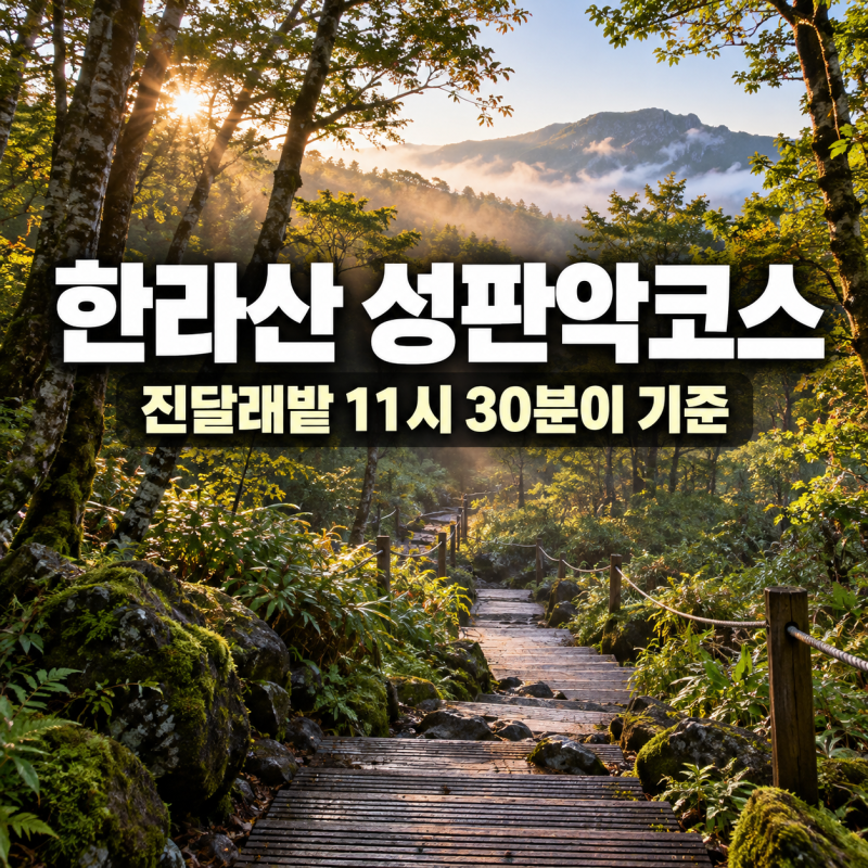 한라산 성판악코스, 진달래밭 11시 30분 통과가 기준입니다 | 성판악주차장 · 281번 버스 · 소....