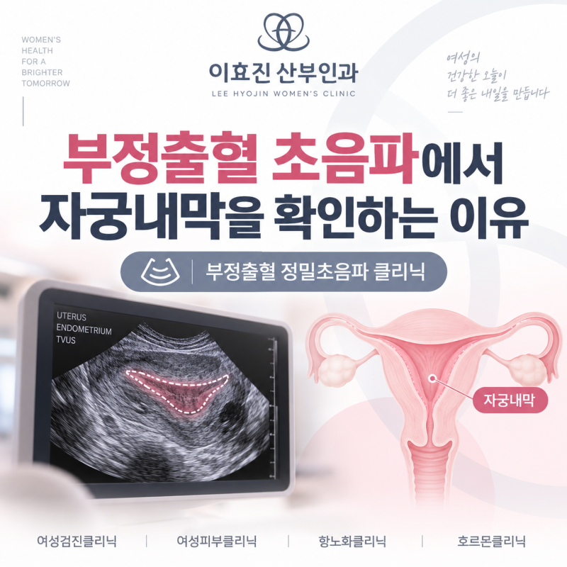 반포동산부인과 부정출혈 초음파에서 자궁내막을 확인하는 이유