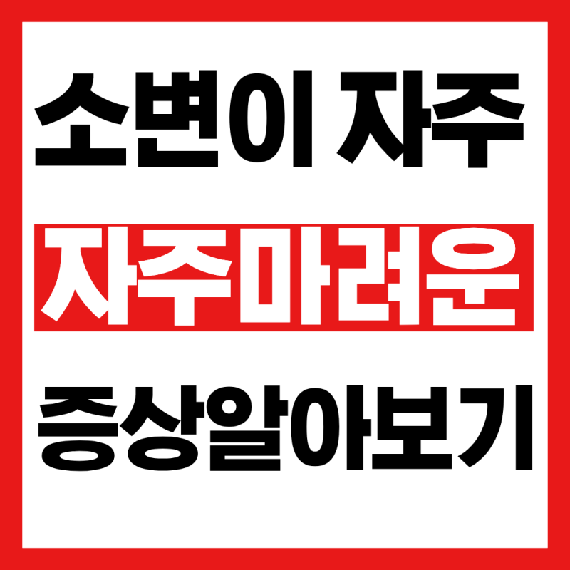 소변이 자주 마려운 증상 체크 해보기!(빈뇨,야간뇨)