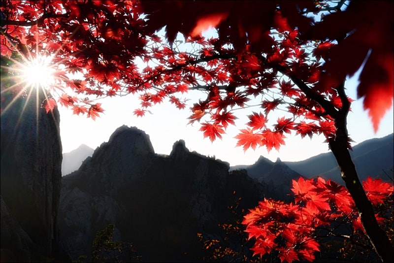 설악산 공룡능선 단풍산행(별사진, 일출, 최단코스, 난이도, 천불동계곡 단풍)