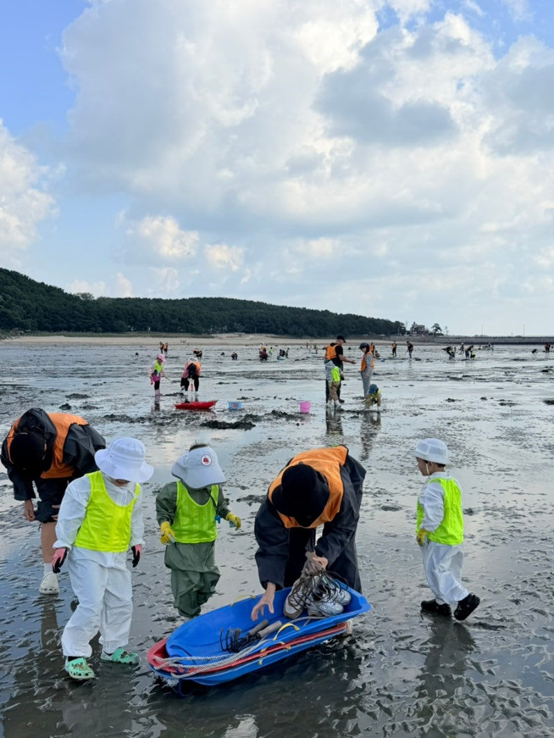 갯벌체험 비교] 오이도 어촌체험마을, 영종도 마시안 갯벌체험장 모두 다녀온 비교 후기✌ ....