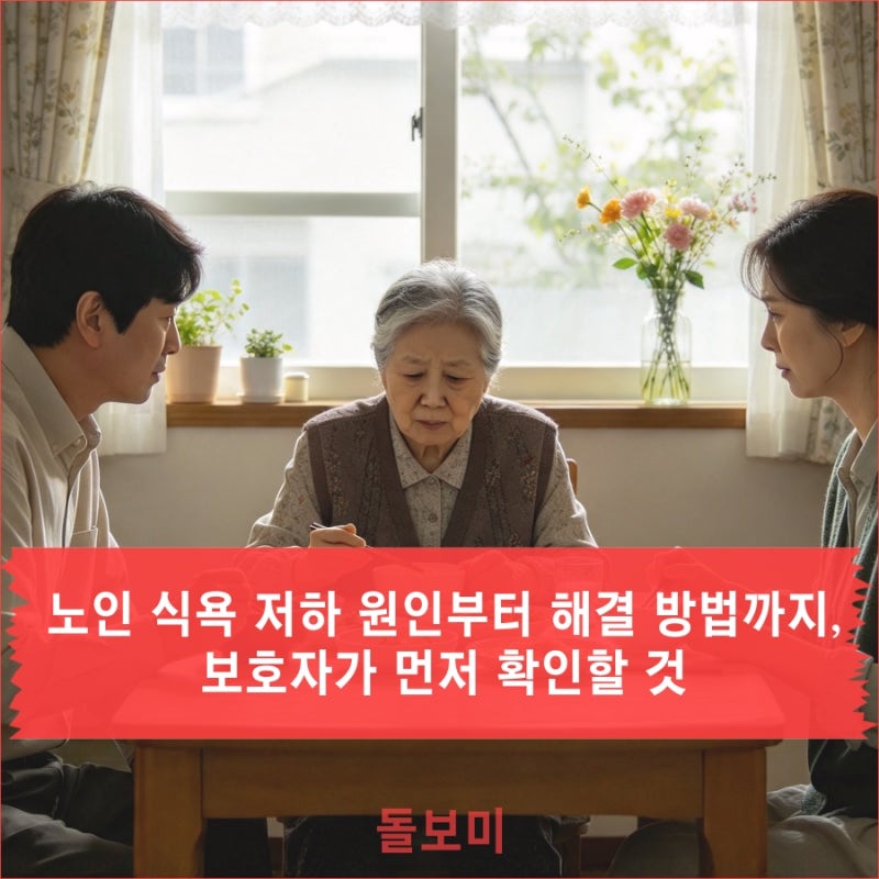 노인 식욕 저하 원인부터 해결 방법까지, 보호자가 먼저 확인할 것