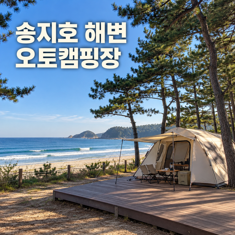 송지호 해변 오토캠핑장 예약 전 확인할 데크 크기와 이용 팁