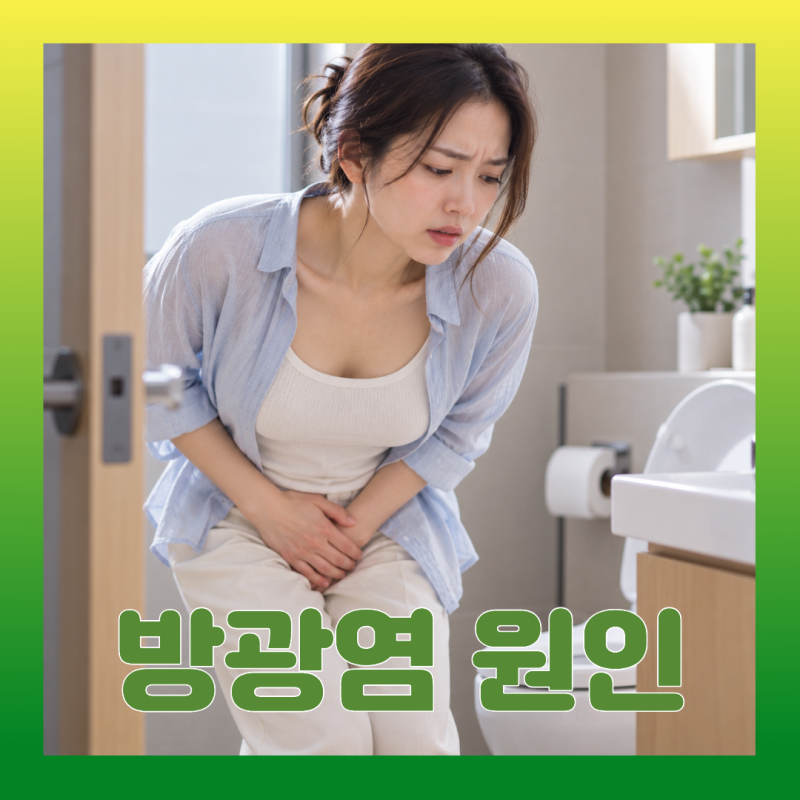 방광염 원인 관계 후 여성에게 자주 발생하는 이유와 치료법