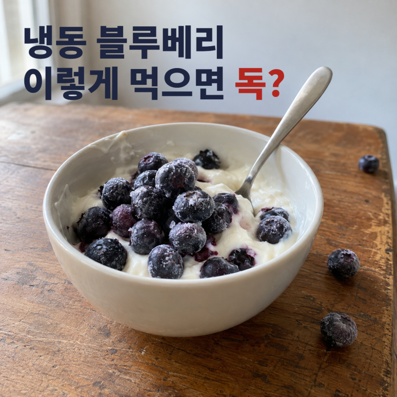 냉동 블루베리, "이렇게 먹으면 독"? 생과와 비교해 확인