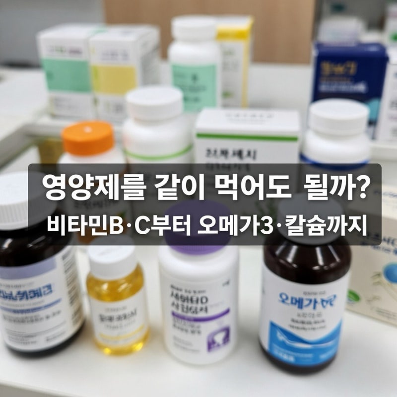 영양제를 같이 먹어도 될까?｜비타민B·C부터 오메가3·칼슘까지