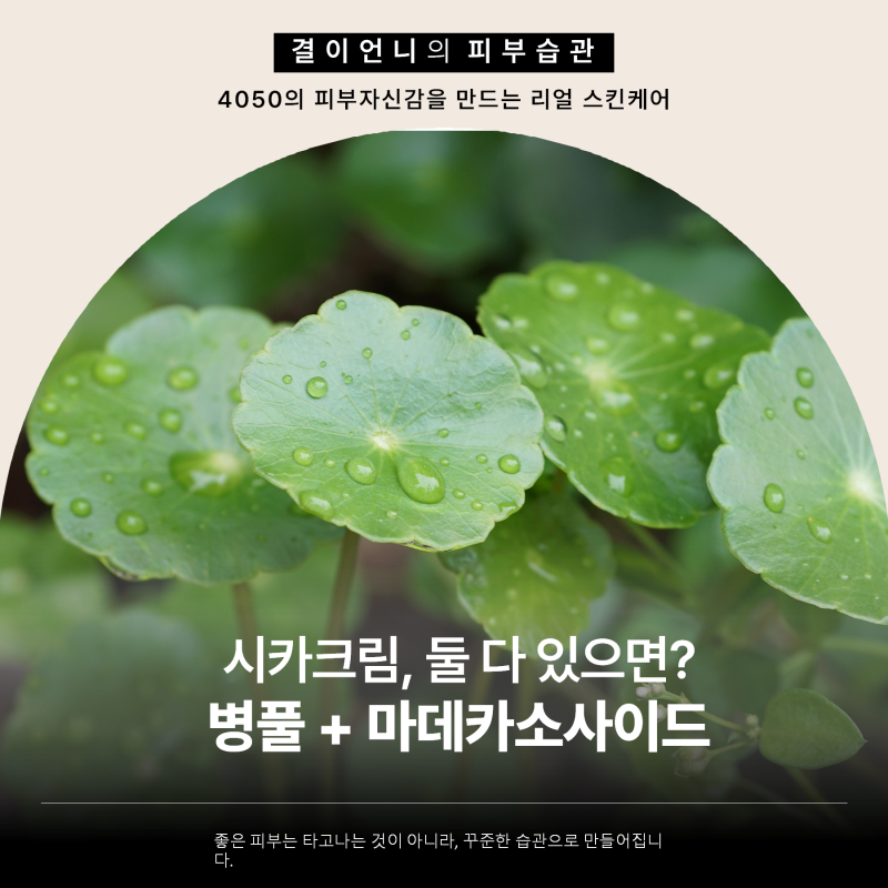 시카 크림, 병풀과 마데카소사이드가 같이 들어 있으면 더 좋을까?