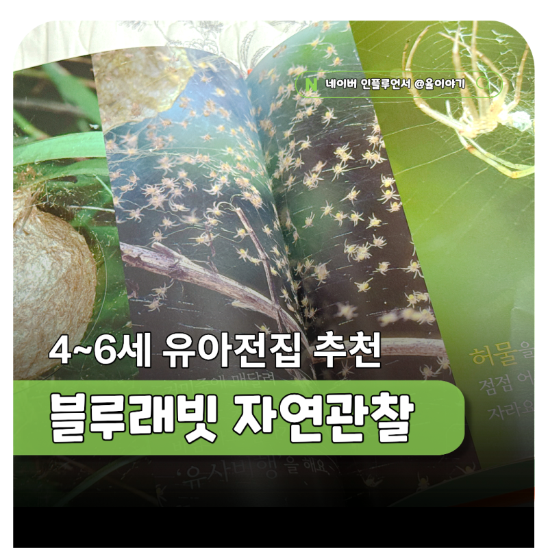 블루래빗 생생 자연관찰 4세 5세 6세 책추천