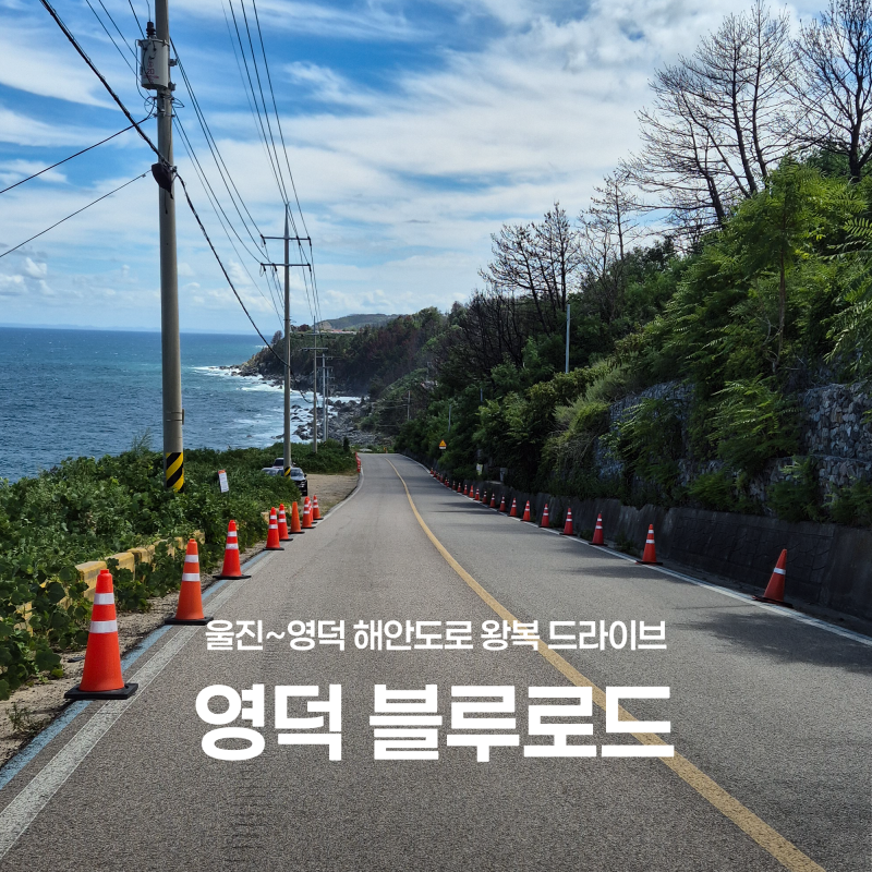 [경북] 울진 영덕 드라이브 코스｜석호해변 아침 산책부터 죽변항·후포항·영덕 블루로드·....
