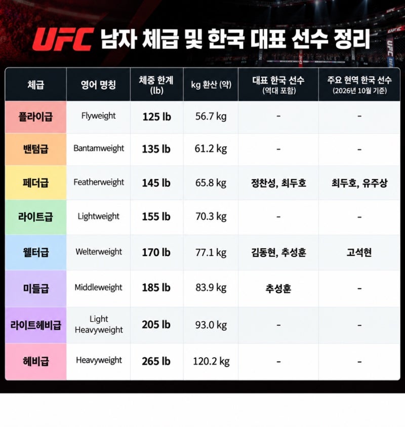 UFC 체급 정리