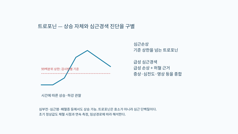 의학이론 제6편 내과계 질환ㅣ제1장 심혈관계 기본검사
