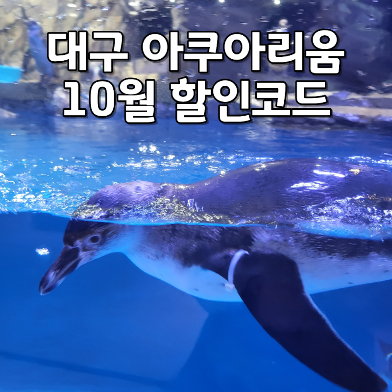 대구 아쿠아리움 할인 10월 프로모션, 입장권 할인받는 방법