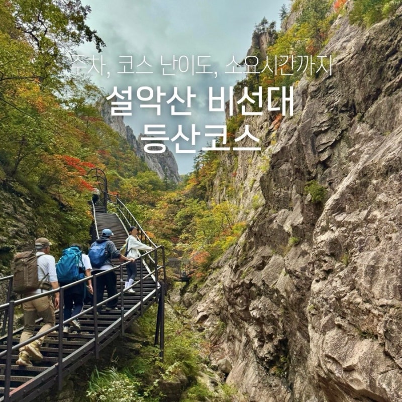 설악산 비선대 등산 코스 천불동계곡 따라가는 초보 등산 코스 소요시간 단풍 후기