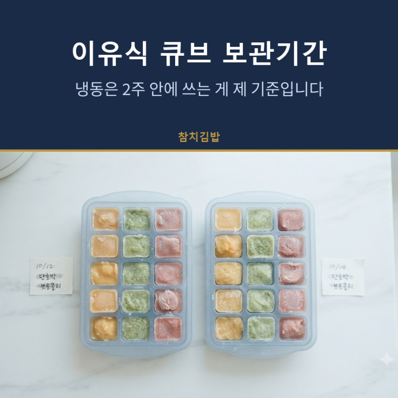 이유식 큐브 보관기간, 냉동은 2주 안에 쓰는 게 제 기준입니다