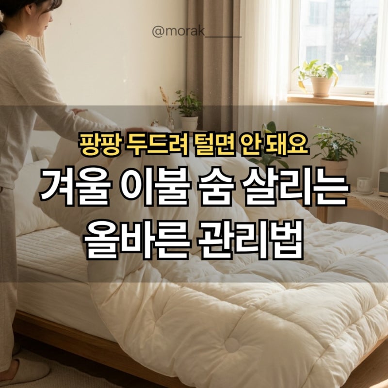 털기만 하면 먼지가 더 깊숙이 박힌다고요? 겨울 이불 꺼낼 때 흔히 하는 치명적 실수