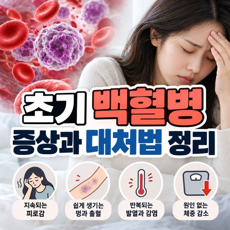 초기 백혈병 증상과 대처법 정리