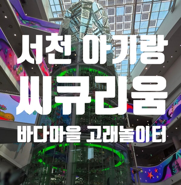 대전 근교 서천 아기랑 실내 가볼만한 곳 서천 씨큐리움 고래마을 체험 후기