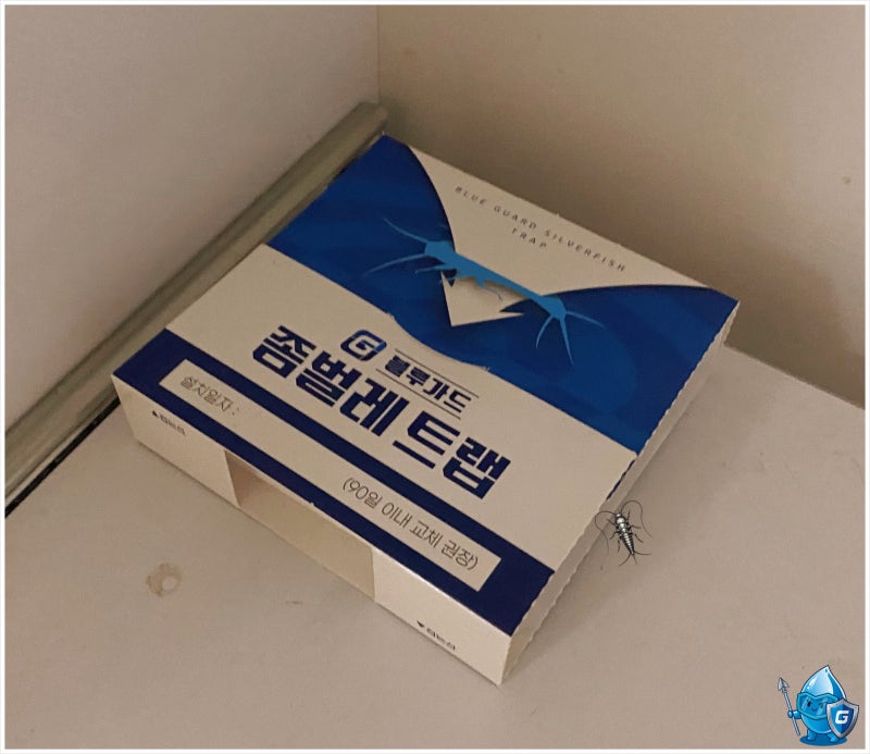 좀벌레 없애는 법, 옷장 서랍장에 생기는 이유는?