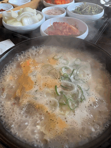 * 부산 기장 일광돼지국밥 * 기장돼지국밥 추천 * 일광바로손만두 내돈내먹 * 부산 기장 먹방 ....