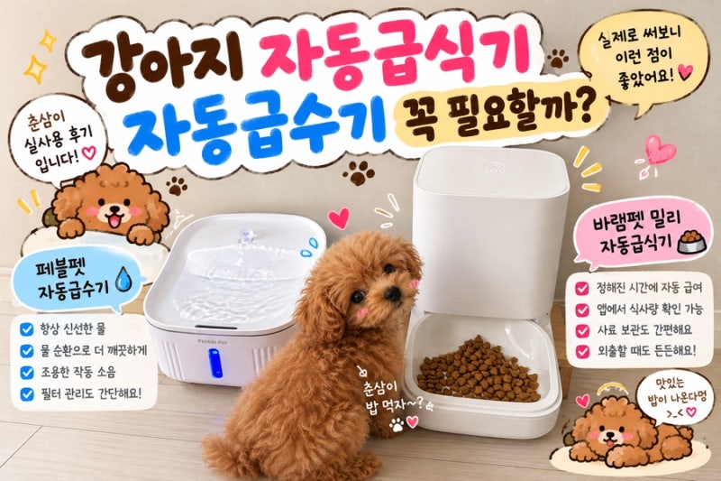 강아지 자동급식기 추천? 바램펫 밀리 + 페블펫 자동급수기 실사용 후기