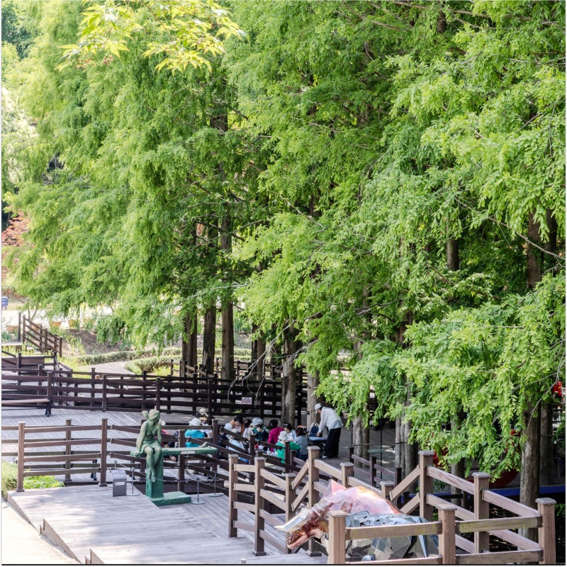 대전 근교 • 청주 • 10월 가볼 만한 곳 청남대 초정행궁 • 초정약수 축제 오창호수공원 독....
