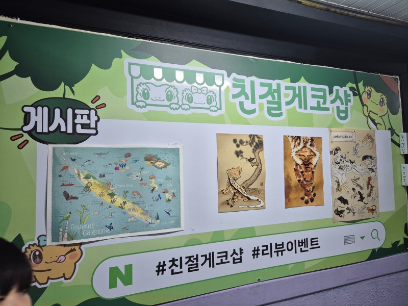 창원 파충류샵 친절게코샵, 파충류 좋아하는 조카 초등학생 생일선물 고르기
