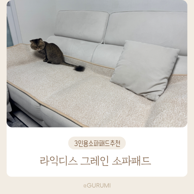 패브릭소파패드 추천 세탁가능해서 청결하게 쓸 수 있는 라익디스 그레인 소파패드3인용