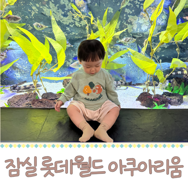 16개월 아이랑 잠실 롯데월드 아쿠아리움 방문 후기 | 할인 정보, 주차 꿀팁, 수유실 정보