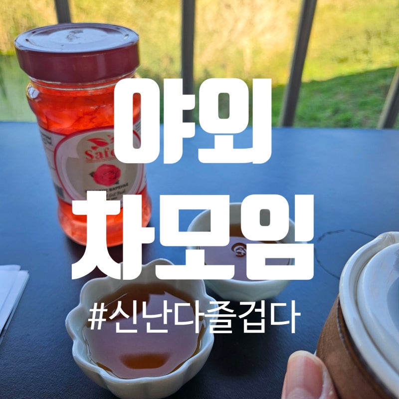 친구와 비봉습지공원에서 야차 (야외차회) 뜨고 왔어요. 내 홀씨님과의 야외 차모임 (+준비....